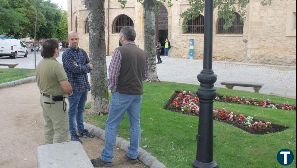 El Ayuntamiento de Segovia repondrá 80 nuevos árboles en varias zonas de la ciudad