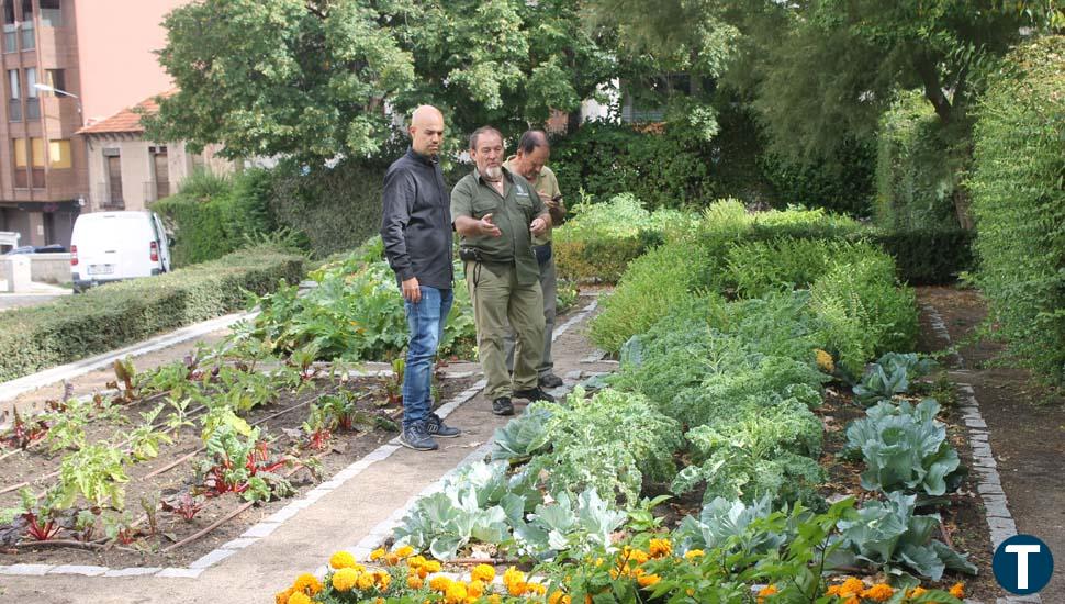 El Ayuntamiento de Segovia establece nuevos jardines hortícolas en la Avenida del Acueducto y el Jardín Botánico