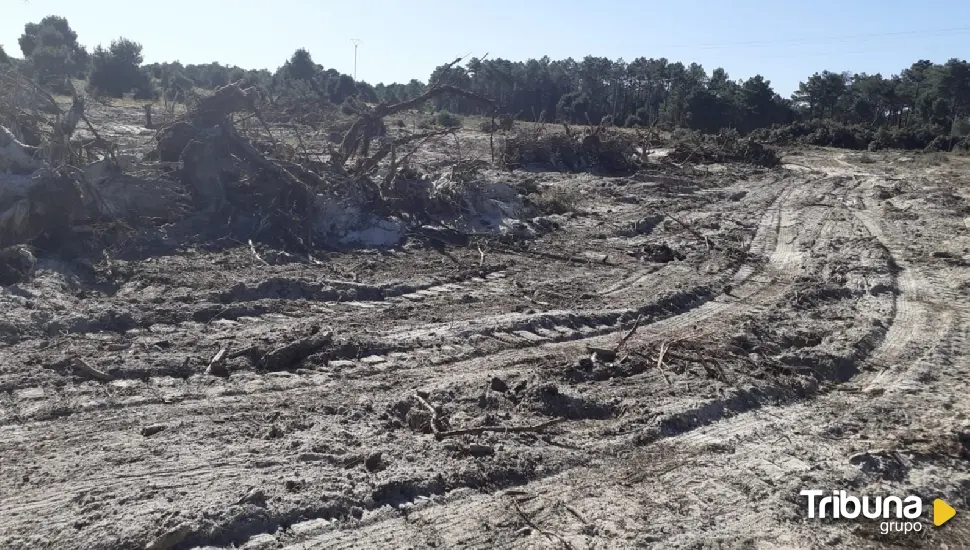 Se pide paralizar las obras en los pinares de Gomezserracín para el acuífero de El Carracillo (Segovia)