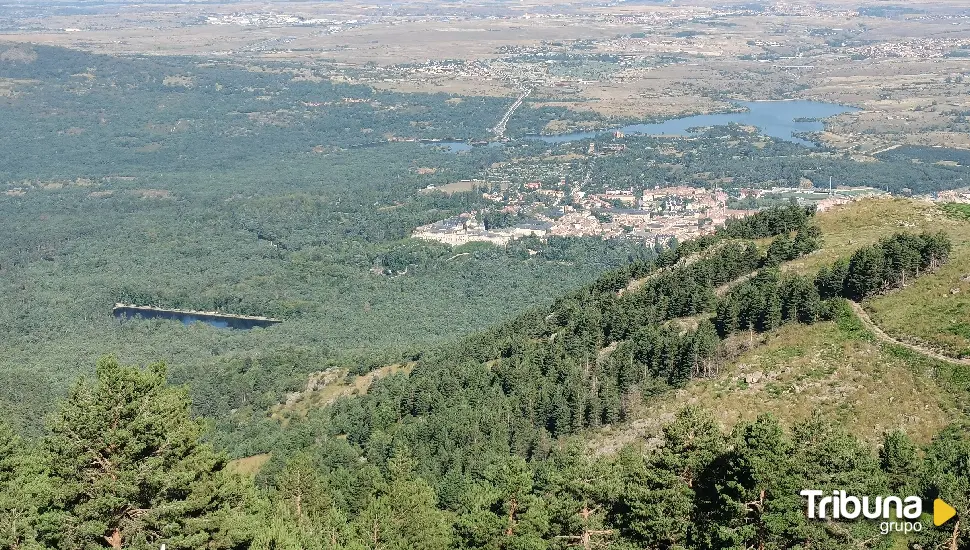 La Junta reforesta la zona afectada por el incendio de La Granja en agosto del 2019