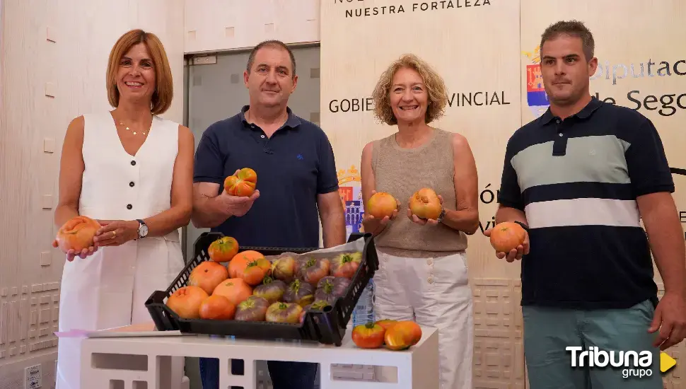 El tomate, ingrediente de la Caravana de Alimentos de Segovia en Martín Muñoz de las Posadas