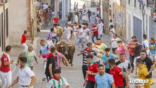 Dos heridos, uno por asta de toro, en el cuarto encierro de Cuéllar