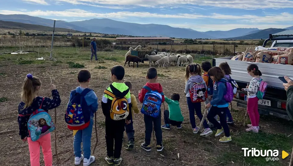 'Esquileo', el proyecto de Trescasas para recuperar el arraigo pastoril y lanar