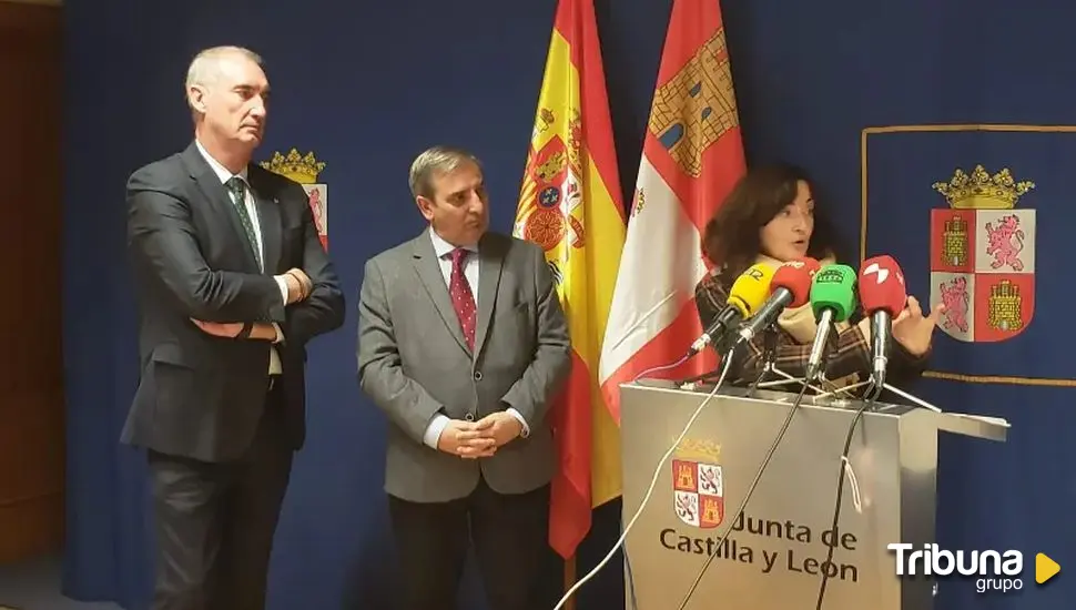 Pocas semanas para comenzar la rehabilitación del paseo de Santo Domingo de Segovia