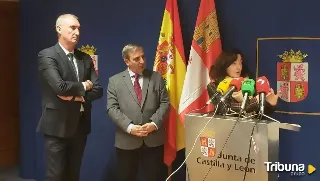 Pocas semanas para comenzar la rehabilitación del paseo de Santo Domingo de Segovia