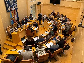 El Pleno municipal de Segovia aprueba moción para crear espacio de enterramiento para bebés nonatos